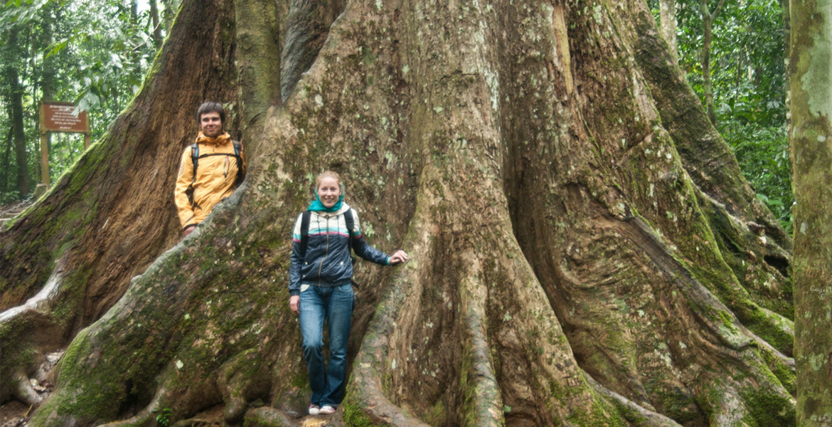 Cuc Phuong National Park Day Tour